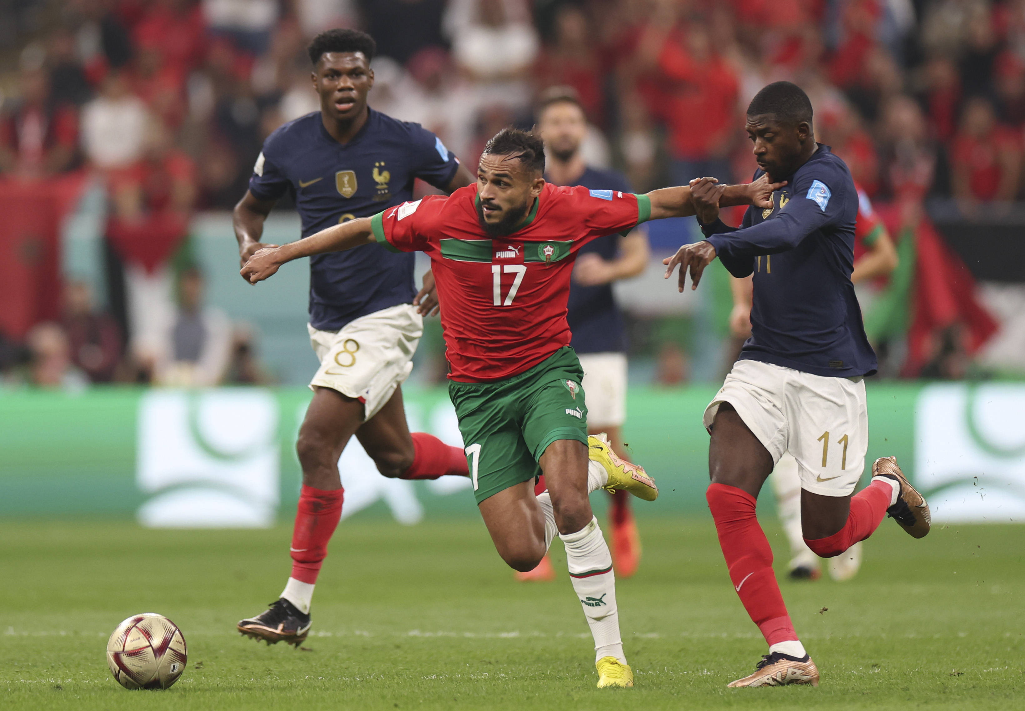 球足球界的 球足球界的