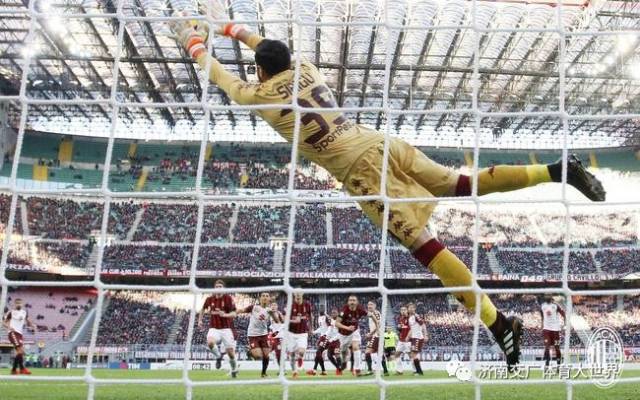 归化策略与 归化策略与